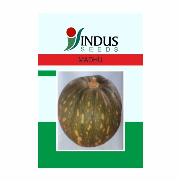 I&B PUMPKIN HY. MADHU (50 GM) (POUCH)