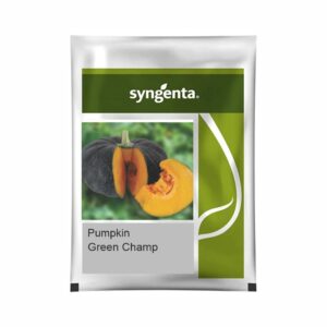 SYNGENTA PUMPKIN GREEN CHAMP (10 gm)