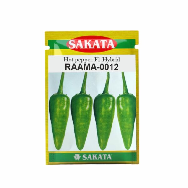 SAKATA HOT PEPPER F1 RAAMA-0012 (10 GM) (POUCH)