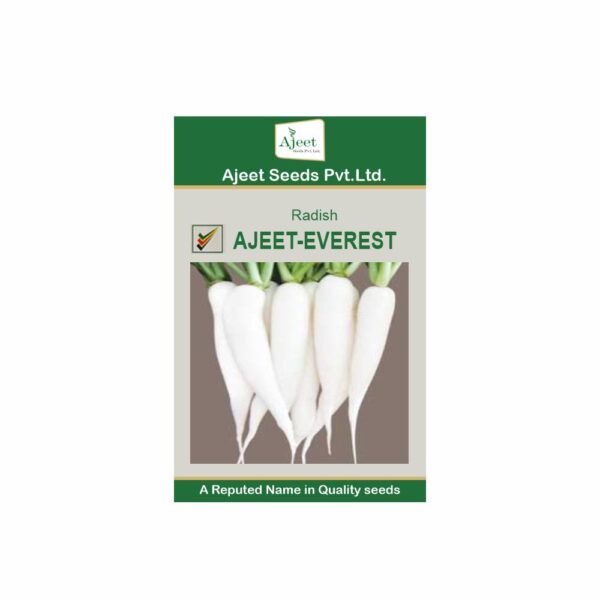 AJEET IMPROVED RADISH EVEREST (100 GM)
