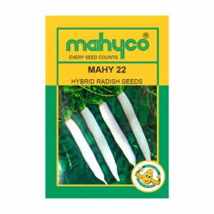 mahyco RADISH HY. MAHY 22 (NO.22)  400 GM