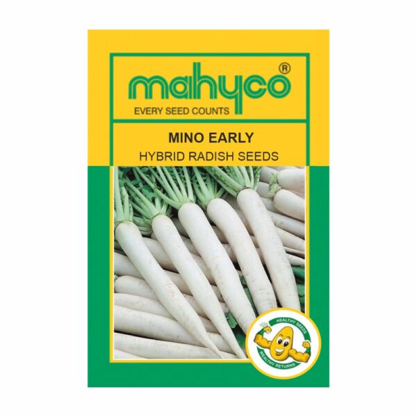 MAHYCO RADISH MINO EARLY  (50 GM)