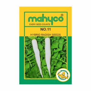 mahyco RADISH MAHY NO 11   400 GM
