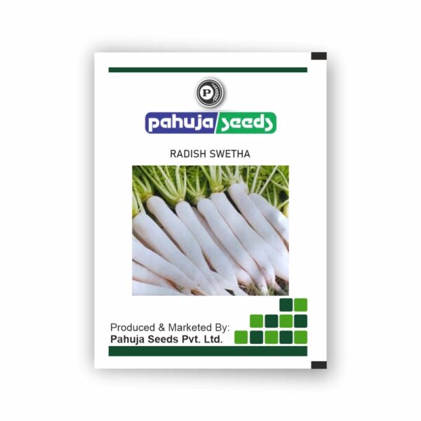 PAHUJA RADISH SWETHA - PAHUJA SEEDS - (500GMS)
