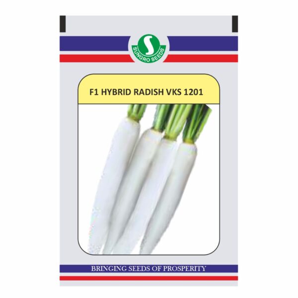 SUNGRO RADISH VKS 1201 (50 GM)