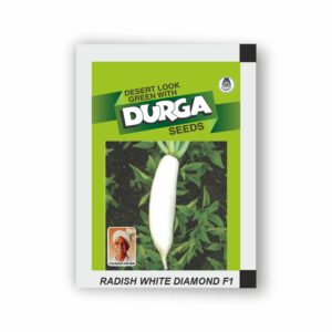 DURGA hybrid RADISH WHITE DIAMOND F1(kitchen garden packet) (Minimum 10 Packets)