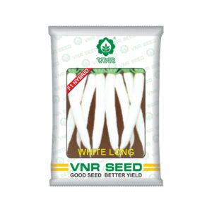 VNR Radish HYBRID white long  (100 GM)