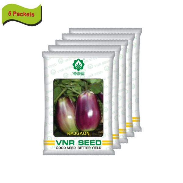 VNR OP Brinjal rajraon (10 gm) (5 packets) - Image 2