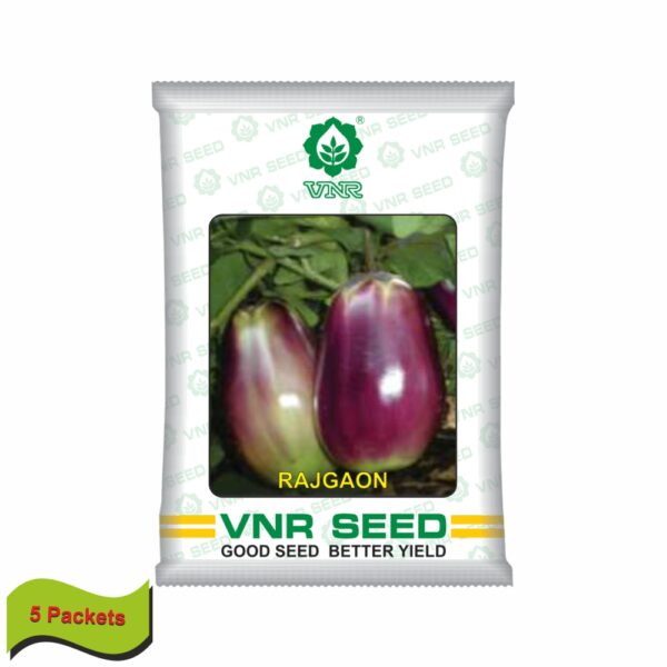 VNR OP Brinjal rajraon (10 gm) (5 packets)