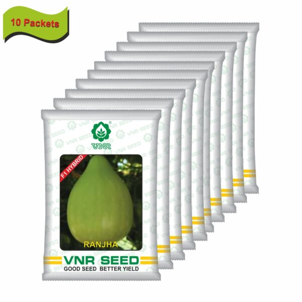 VNR Bottle gourd hybrid Ranjha (10 GM) (10 packets) - Image 2