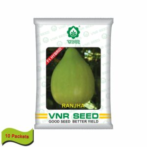 VNR Bottle gourd hybrid Ranjha (10 GM) (10 packets)