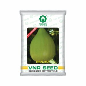 VNR Bottle gourd hybrid Ranjha (50 GM)