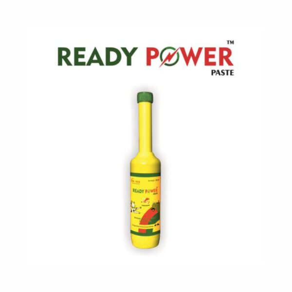 PROTECH READY POWER (PASTE)
