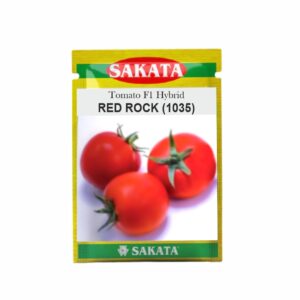 SAKATA TOMATO F1 RED ROCK ( 1035) (2 GM) (POUCH)