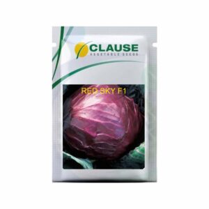 Clause CABBAGE RED SKY (10 GM)