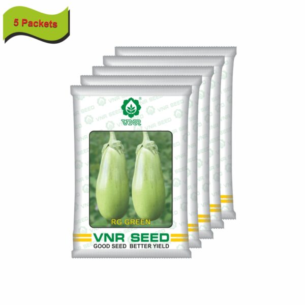 VNR OP Brinjal RG green (10 gm) (5 packets) - Image 2