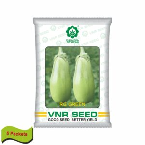 VNR OP Brinjal RG green (10 gm) (5 packets)