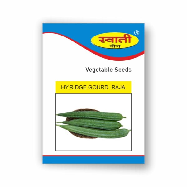 SWATI HY.RIDGE GOURD RAJA (50 GM)