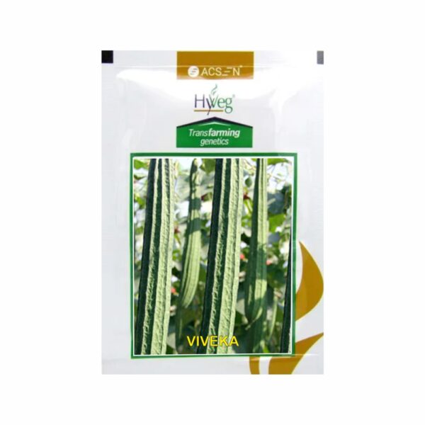 RASI-ACSEN HYVEG RIDGE GOURD VIVEKA (50GM)