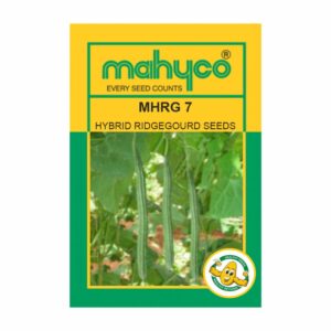 mahyco RIDGEGOURD HY.MAHY 7 (MHRG-7)  50 GM