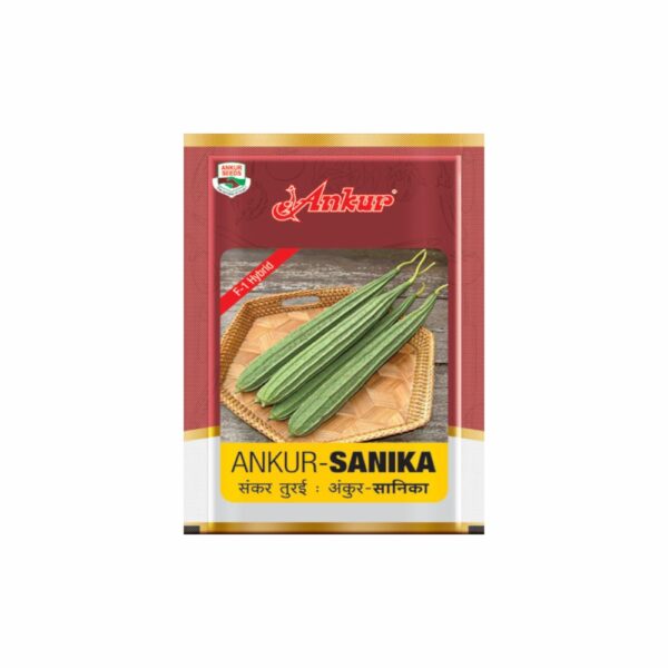 ANKUR RIDGE GOURD SANIKA (50GM)