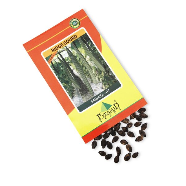 NAMDEO RIDGE GOURD SAWATA 07 (50 GM)