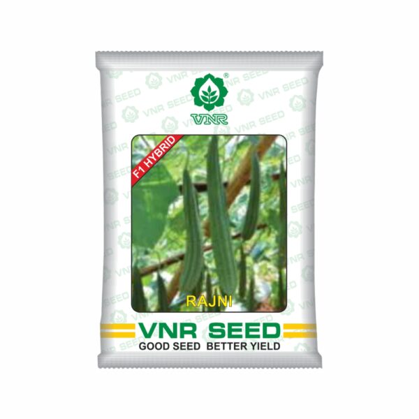 VNR Ridge gourd HYBRID rajni (10 GM)