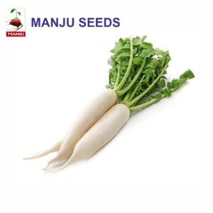 manju Raddish seeds (1 KG)(PACK OF 10)