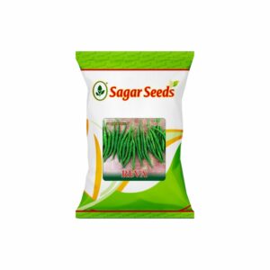 Sagar REVA F-1 Hybrid CHILLI Seeds (10 gm)