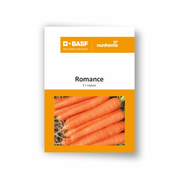BASF Nunhems CARROT Romance  (100000 SEEDS)