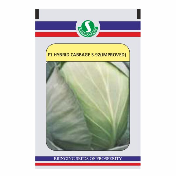 SUNGRO CABBAGE S-92 (IMPROVED)