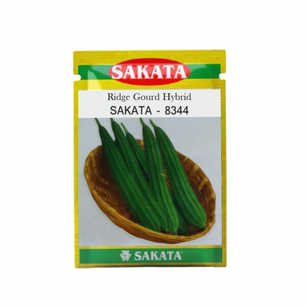 SAKATA RIDGE GOURD F1 SAKATA 8344 (50 GM) (POUCH)