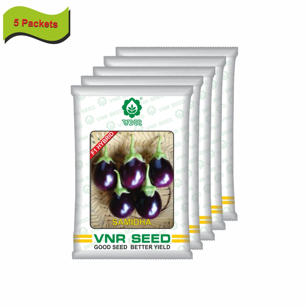 VNR Brinjal hybrid samidha (10 GM) (5 packets) - Image 2