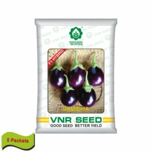 VNR Brinjal hybrid samidha (10 GM) (5 packets)