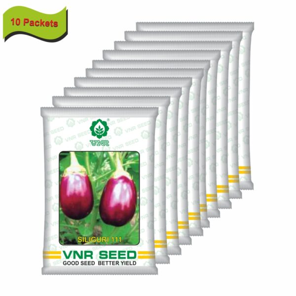 VNR BRINJAL OP SILIGURI-111 (10 gm)(10 packets) - Image 2