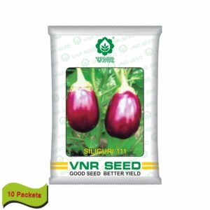 VNR BRINJAL OP SILIGURI-111 (10 gm)(10 packets)