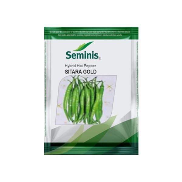 SEMINIS CHILLI SITARA GOLD (1500 SEEDS)