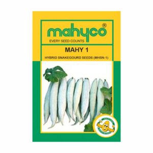 mahyco SNAKEGOURD HY. MAHY 1 (MHSN-1)  50 GM