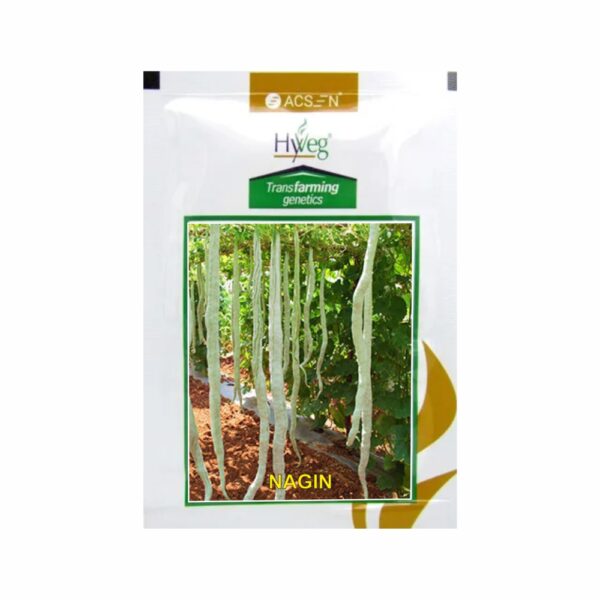 RASI-ACSEN HYVEG SNAKEGOURD NAGIN (50GM)