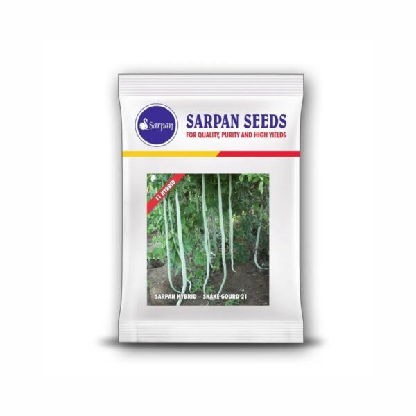 SARPAN SNAKE GOURD SSG-21 (25 GM)