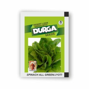 DURGA SPINACH ALL GREEN/JYOTI (kitchen garden packet) (Minimum 10 Packets)