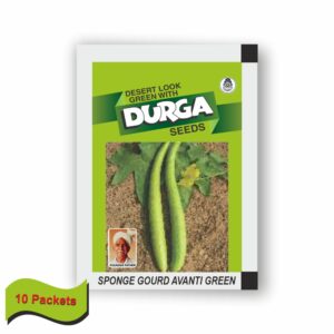 DURGA SPONGE GOURD AVANTI (LIGHT GREEN) (10 GM) (10 PACKETS)
