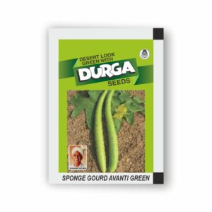 DURGA SPONGE GOURD AVANTI (LIGHT GREEN) (KITCHEN GARDEN PACKET) (Minimum 10 Packets)