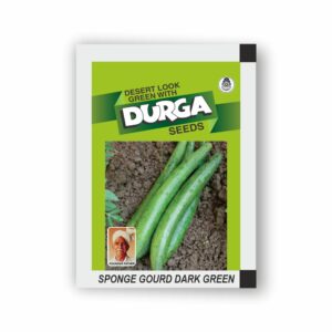 DURGA SPONGE GOURD DARK GREEN (KITCHEN GARDEN PACKET) (Minimum 10 Packets)