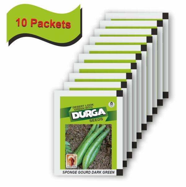 DURGA SPONGE GOURD DARK GREEN (100 GM) (10 PACKETS) - Image 2