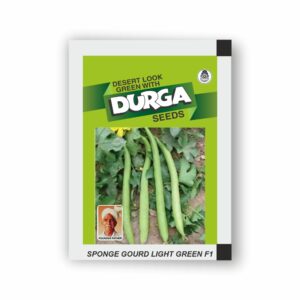 DURGA hybrid SPONGE GOURD LIGHT GREEN F1 (white seed) (kitchen garden packet) (Minimum 10 Packets)
