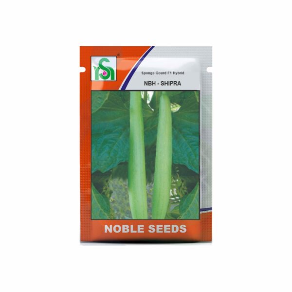 NOBLE SPONGE GOURD NBH-SHIPRA (10 gm)