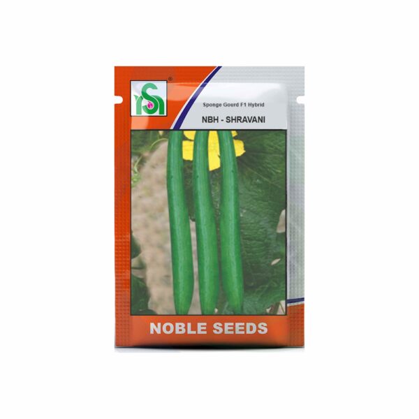 NOBLE SPONGE GOURD NBH-SHRAVANI (10 gm)