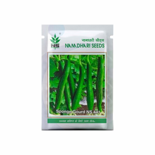 Namdhari SPONGE GOURD NS 441 (50 GM)