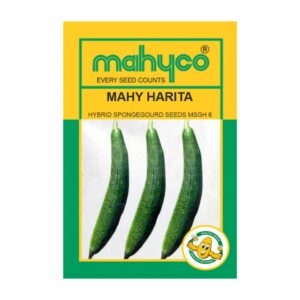 mahyco SPONGEGOURD HY. MAHY HARITA (MSGH-6) 50 GM